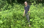 Cao Bằng: Khởi tố đối tượng dùng dao chém bạn nhậu khiến 3 người bị thương