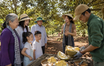 Lễ hội Sầu riêng Đắk Lắk 2026: Từ trái ngọt cao nguyên đến hành trình nâng tầm sinh kế