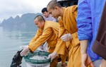 Giáo hội Phật giáo Việt Nam đề nghị không thu gom động vật để phóng sinh mùa Vu Lan