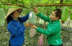 Liên kết chuỗi giá trị: Hướng đi nâng cao năng lực cạnh tranh cho hợp tác xã do phụ nữ tham gia quản lý