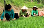 Phát huy vai trò Chi bộ Công an xã nơi địa đầu Tổ quốc