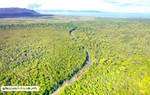 Phát hiện nhiều sai phạm trong quản lý rừng tại Phú Quốc