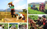 Hợp nhất 4 Chương trình mục tiêu quốc gia: Làm rõ mục tiêu, nguồn lực và cơ chế thực hiện