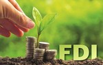 Resolution helps drive foreign direct investment into green economy