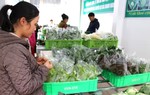 Giảm thuế 30% để tiếp thêm nguồn lực cho hộ kinh doanh và hỗ trợ tiêu dùng
