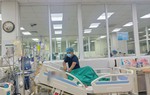 Bé gái 14 tuổi sốc nhiễm khuẩn phải thở máy và lọc máu vì sốt mò