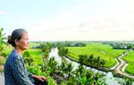 20 năm lang bạt, nuôi niềm mong mỏi ngày về cố hương
