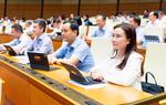 Đại biểu Quốc hội: "Cần đưa kim cương vào diện kinh doanh có điều kiện"
