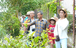Đánh thức du lịch Lấp Vò từ đặc sản quê hương