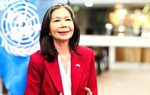 Việt Nam-Liên hợp quốc song hành đóng góp cho hòa bình và phát triển bền vững