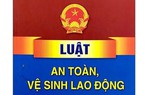 Chính phủ thông qua dự án Luật sửa đổi, bổ sung một số điều của Luật An toàn, vệ sinh lao động