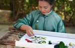 Craft villages keep tradition alive through creativity