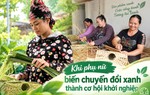 Khi phụ nữ biến chuyển đổi xanh thành cơ hội khởi nghiệp