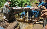 Hà Nội yêu cầu làm rõ trách nhiệm vụ nam sinh viên tử vong tại khu vực cống thoát nước