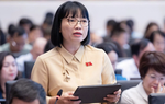 "Giá điện hợp lý không đồng nghĩa với giá thấp bằng mọi cách"