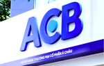 Nhiều chi nhánh của ACB được Thanh tra Ngân hàng chỉ ra tồn tại, hạn chế