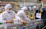 Gần 206,4 nghìn doanh nghiệp gia nhập và quay lại thị trường trong 8 tháng