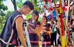 Tổ chức Ngày Văn hóa Việt Nam gắn với Ngày hội Đại đoàn kết toàn dân tộc năm 2026