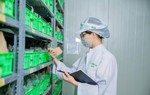 Fami - Lan toả nguồn dưỡng chất lành từ hạt vàng tự nhiên