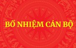 Thủ tướng điều động, bổ nhiệm nhân sự 4 bộ, cơ quan