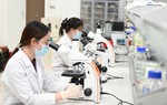 Hà Nội sẽ đối thoại, tháo gỡ điểm nghẽn cho doanh nghiệp khoa học công nghệ