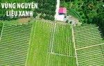 "Đánh thức" giá trị tài nguyên bản địa