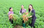 1,7 triệu phụ nữ được truyền thông về an toàn thực phẩm 
