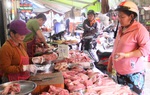 Khẩn trương báo cáo Thủ tướng tình hình giá thịt lợn