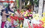 51 điểm chợ hoa xuân phục vụ người Hà Nội dịp Tết Canh Tý 2020