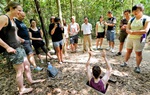 TPHCM đa dạng sản phẩm du lịch với tour sinh thái, nông nghiệp chất lượng