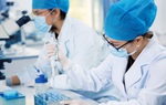 3 phương án đối phó với bệnh viêm phổi cấp do virus Corona