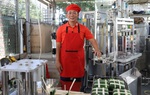 1 phút làm ra 1 chiếc bánh chưng với quy trình sản xuất khép kín bằng máy
