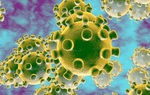 Thành lập đội phản ứng nhanh phòng chống dịch do virus Corona