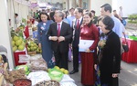 Các cấp Hội bền bỉ đồng hành cùng phụ nữ khởi nghiệp, khởi sự kinh doanh