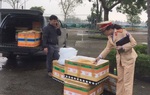 Thanh Hóa: Bắt giữ hơn nửa tấn thịt động vật đã biến màu