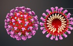 TS Y khoa: "Thông tin Mỹ tạo ra vaccine phòng Covid-19 trong 3 tiếng là không chính xác"