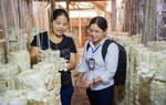 TYM: Gần 3.500 tỷ đồng cho phụ nữ vay vốn, phát triển kinh tế gia đình
