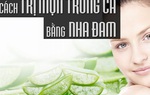 15 cách trị mụn trứng cá tại nhà bằng thiên nhiên an toàn hiệu quả nhất