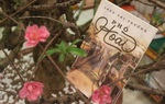 Nhà văn Trần Thị Trường đau đáu 10 năm với tiểu thuyết “Phố Hoài"