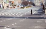 Thành phố Daegu như "đứng hình" trong tâm điểm dịch SARS-CoV-2