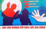 Chính phủ chỉ đạo đẩy mạnh phòng, chống bạo lực gia đình