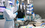2 loại kháng sinh ức chế virus corona có hiệu quả