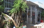 Bà Rịa - Vũng Tàu: Chồng dùng dụng cụ kích điện sát hại vợ 