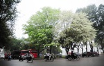 Không khí lạnh gây mưa rào và dông, nền nhiệt Bắc bộ xuống ngưỡng 20 độ