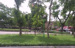 Cách ly giáo viên tiếng Anh người nước ngoài diện F1 lang thang ở vườn hoa Hà Nội vì thất nghiệp