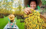 Khám phá vẻ đẹp dân dã của ẩm thực miền Tây