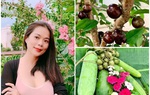 Về Việt Nam trồng toàn cây đắt giá, ca sĩ Mỹ Lệ thuê người làm không xuể việc trong vườn