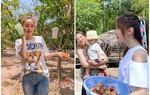 Mua khu đất 2000m2 để nghỉ dưỡng, Minh Hằng trồng rau, quả ăn không hết phải mang cho