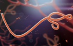 Tìm hiểu chung về dịch bệnh Ebola