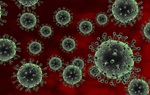 Cúm gia cầm (H5N1): triệu chứng, nguyên nhân, cách điều trị và phòng ngừa